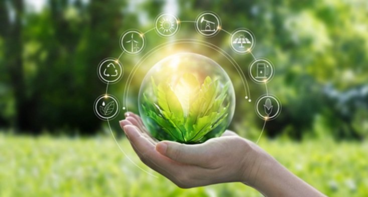 Pioneering a Greener Future: Insights from a Green Recruitment Agency